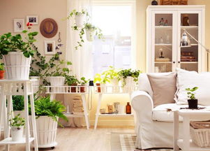 自贡酷暑来袭，空调19个节能省钱窍门，九成家庭还不知道