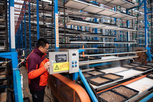 图文互动 保姆式服务 智能化工厂 连片化土地 水稻大省湖南春耕一线观察